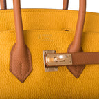Hermes Birkin 25 Jaune Ambre and Gold Togo Permabrass Hardware