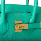 Hermes Birkin 30cm Menthe Togo Gold Hardware