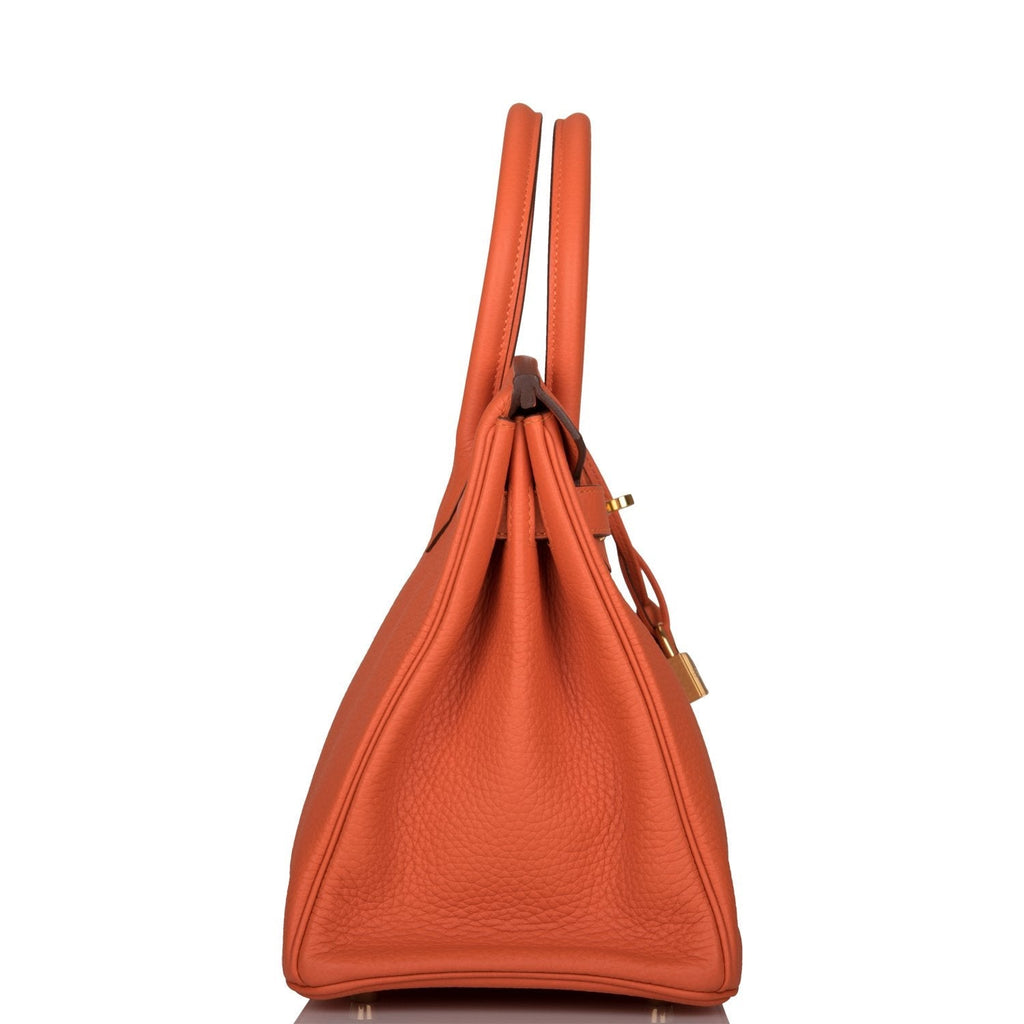Hermes Feu Clemence Birkin 30cm Gold Hardware